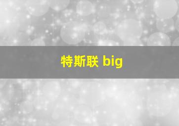 特斯联 big